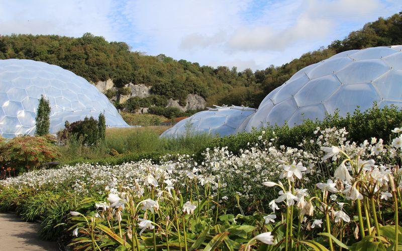 Just 15 minutes from the Eden Project