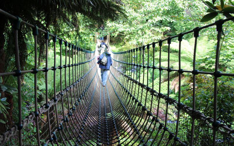 The Lost Gardens of Heligan