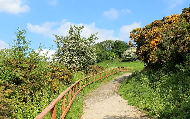 Path to the Sanctuary, events venue