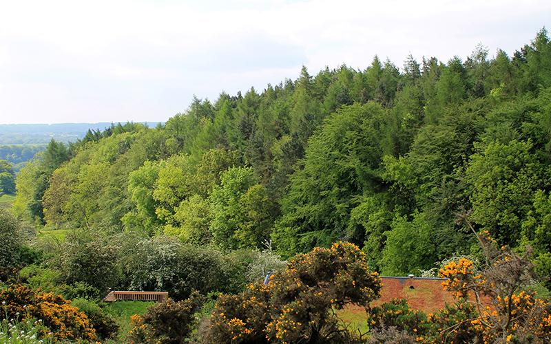 View from the Sanctuary