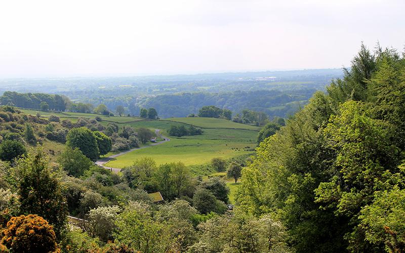 View from the Sanctuary
