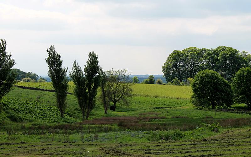 Lush surrounding farmland awaits