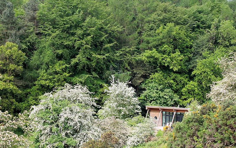 Lodge nestled into the hillside