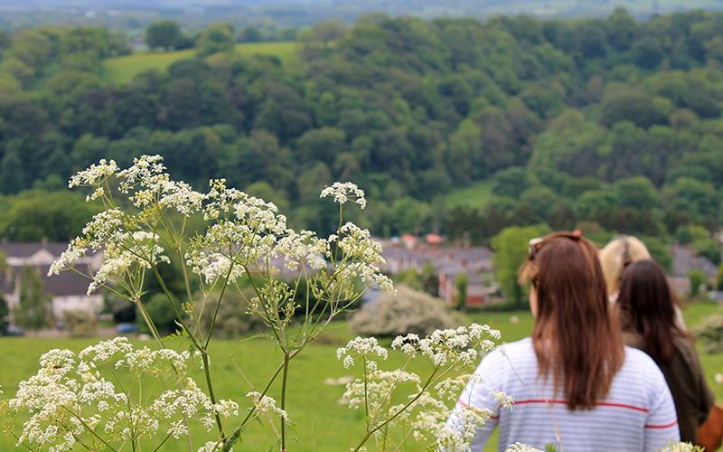 The site is a pleasant stroll to many of the surrounding sights