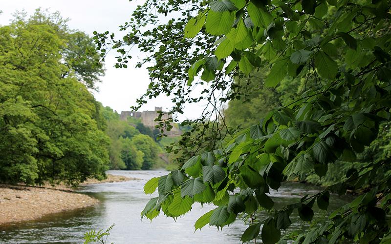 The River Swale walk ends with spectacular views to Richmond Castle