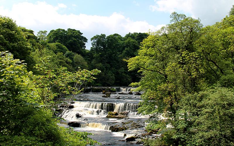 Aysgarth Falls