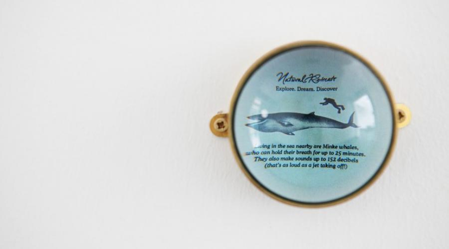 Inside the Inn, spot our unique magnifying glasses full of facts!