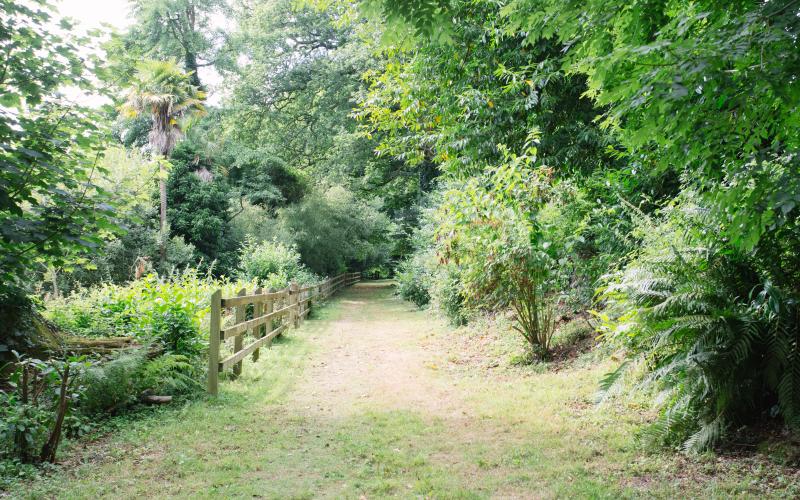 Woodland area surrounding Trewhiddle